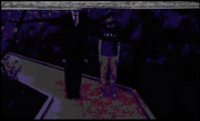 BoxAnalysis SMChild