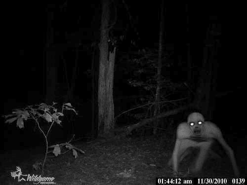 bigfoot chatrooms Ghosts, angels, demons, psychics, elementals, inter-dimensional creatures, aliens, bigfoot, or the griffin in your own back yard - from today's top paranormal . bigfoot chatrooms Ghosts, angels, demons, psychics, elementals, inter-dimensional creatures, aliens, bigfoot, or the griffin in your own back yard - from today's top paranormal .