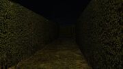 Hedge slendermanshadows