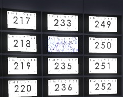 Employee 234 monitor