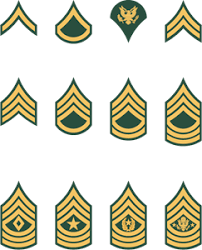 United States Army Enlisted Ranks Thestargateprogram Wikia Fandom