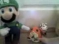 The Super Luigi Show The Band