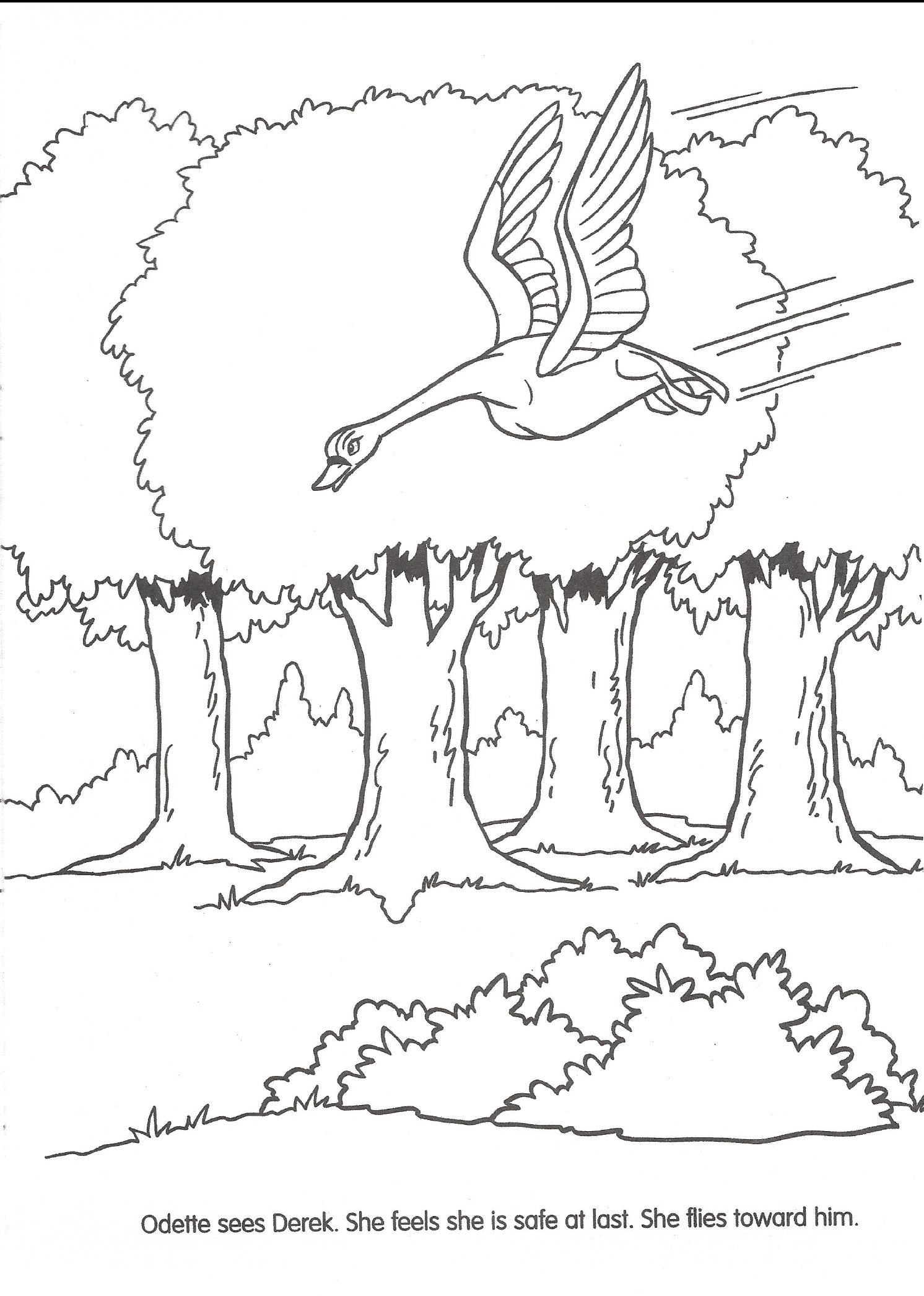 Swan Princess Official Coloring Page 28