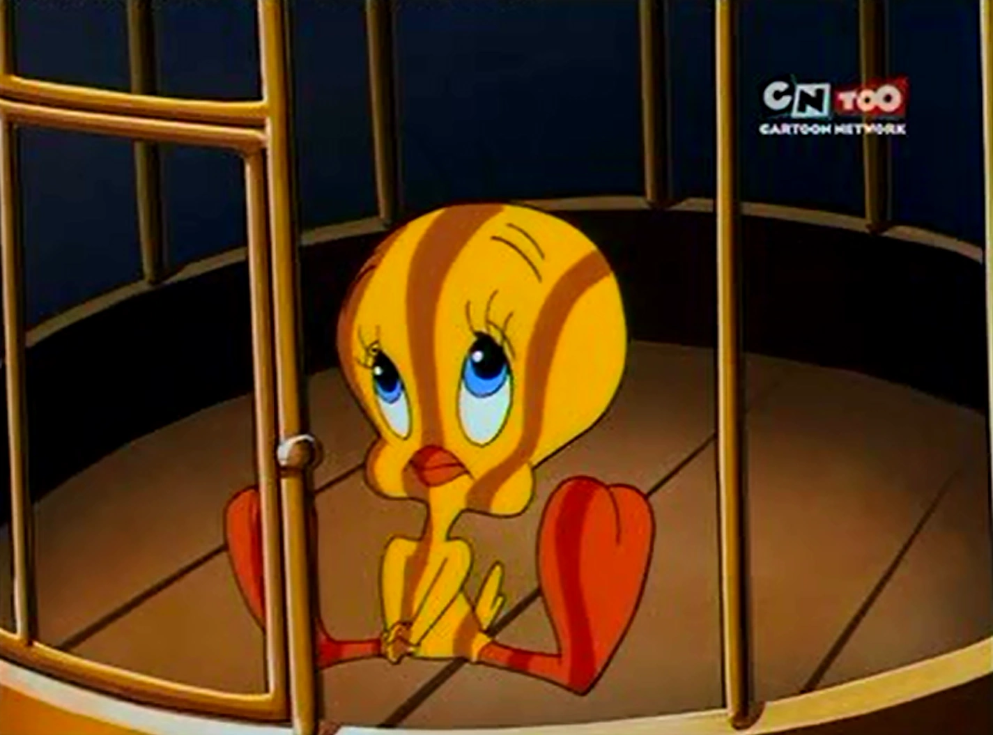 Nobody Knows The Trouble Ive Seen The Sylvester Tweety - 