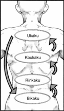 Kagune Tokyo Ghoul Fanon Wiki Fandom