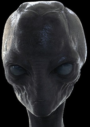 Zerg male