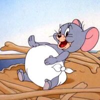 Tuffy Tom Jerry Wiki Fandom