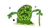 Grotty Gummi