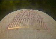 A cap