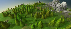 New tree models preview