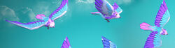 Bird flocks preview