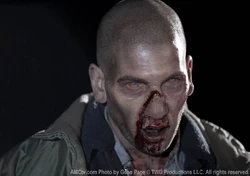 Episode-12-walker-shane20123854018561034612890123598156901