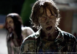 640px-Episode-9-male-walker