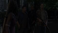 Twd0808-1241
