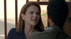 Twd0513-2817