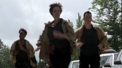 Twd0601-0559