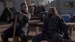 Twd0816-0333