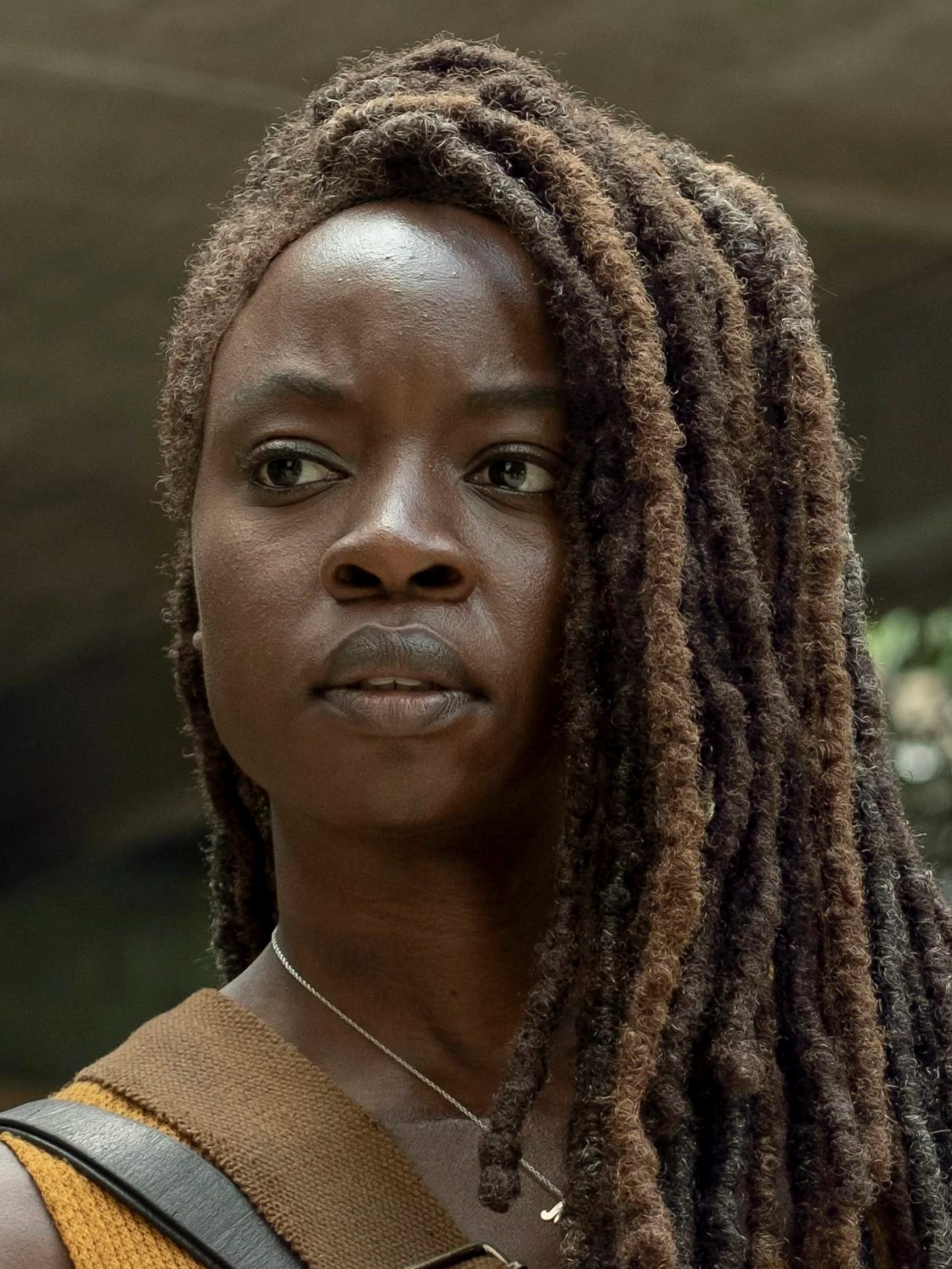 Michonne The Walking Dead (TV) Wiki Fandom