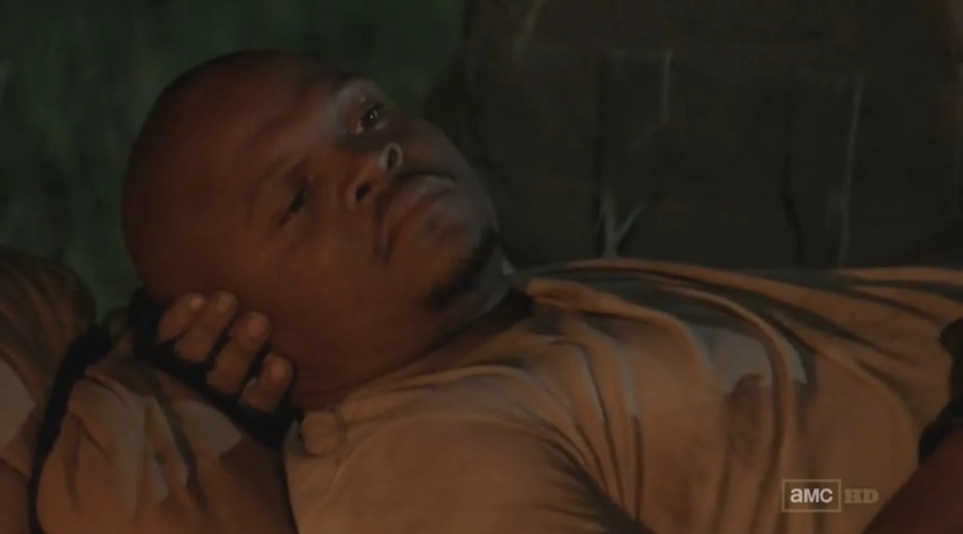 Bild Tdog entspannen.jpg The Walking Dead (TV) Wiki FANDOM