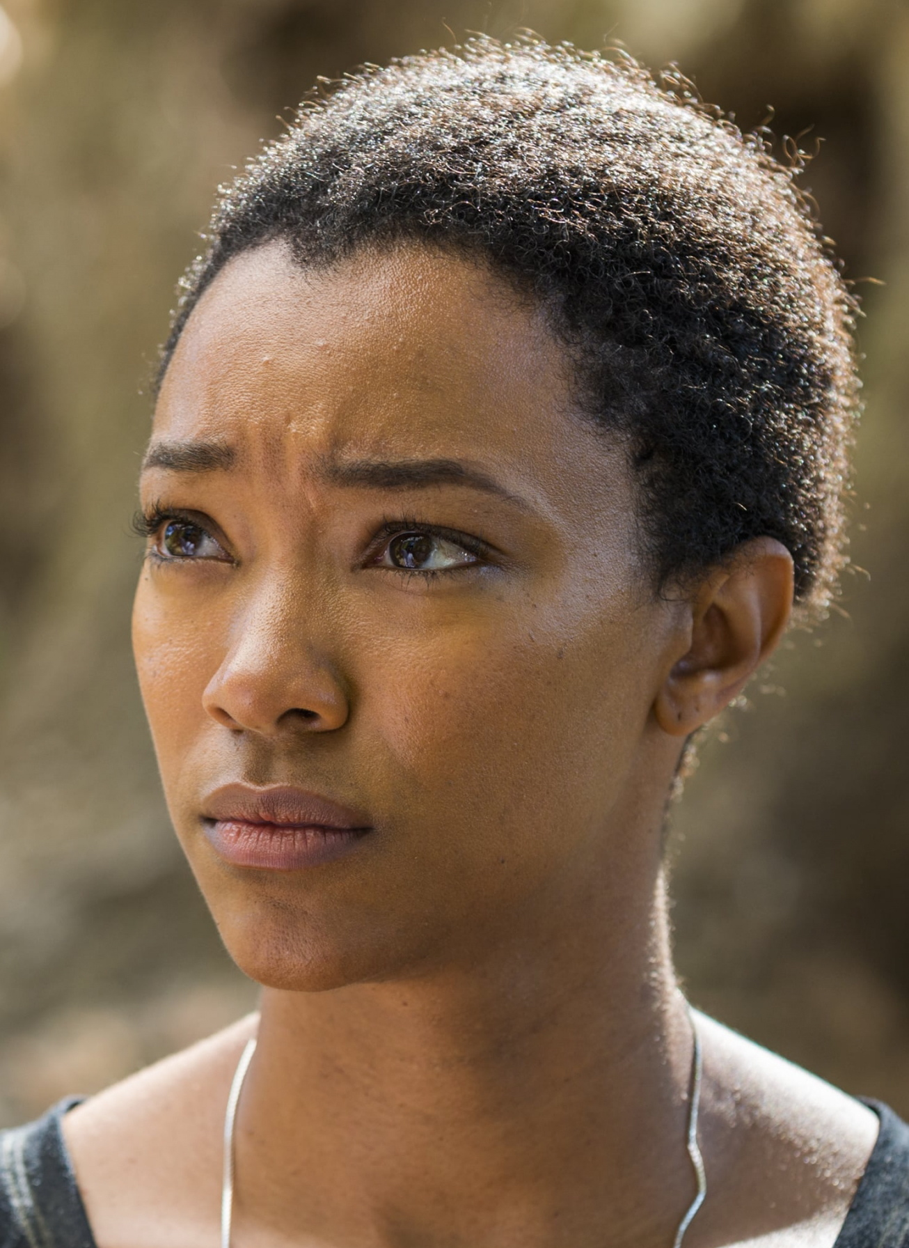 Sasha Williams The Walking Dead (TV) Wiki FANDOM powered by Wikia