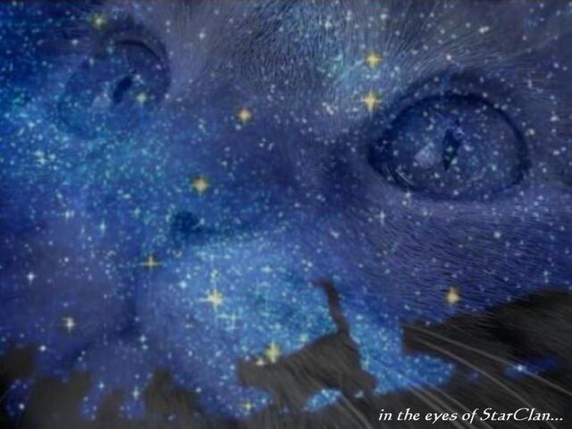 File:Valley of the Stars.jpeg
