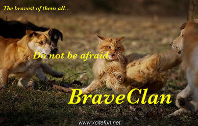 BraveClan