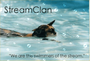 StreamClan