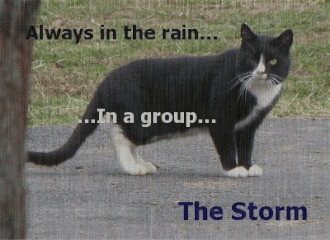 The Storm