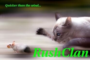 RushClan