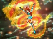 WinX-1x25-100