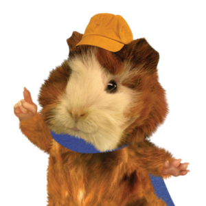 Linny Gallery Wonder Pets Wiki Fandom