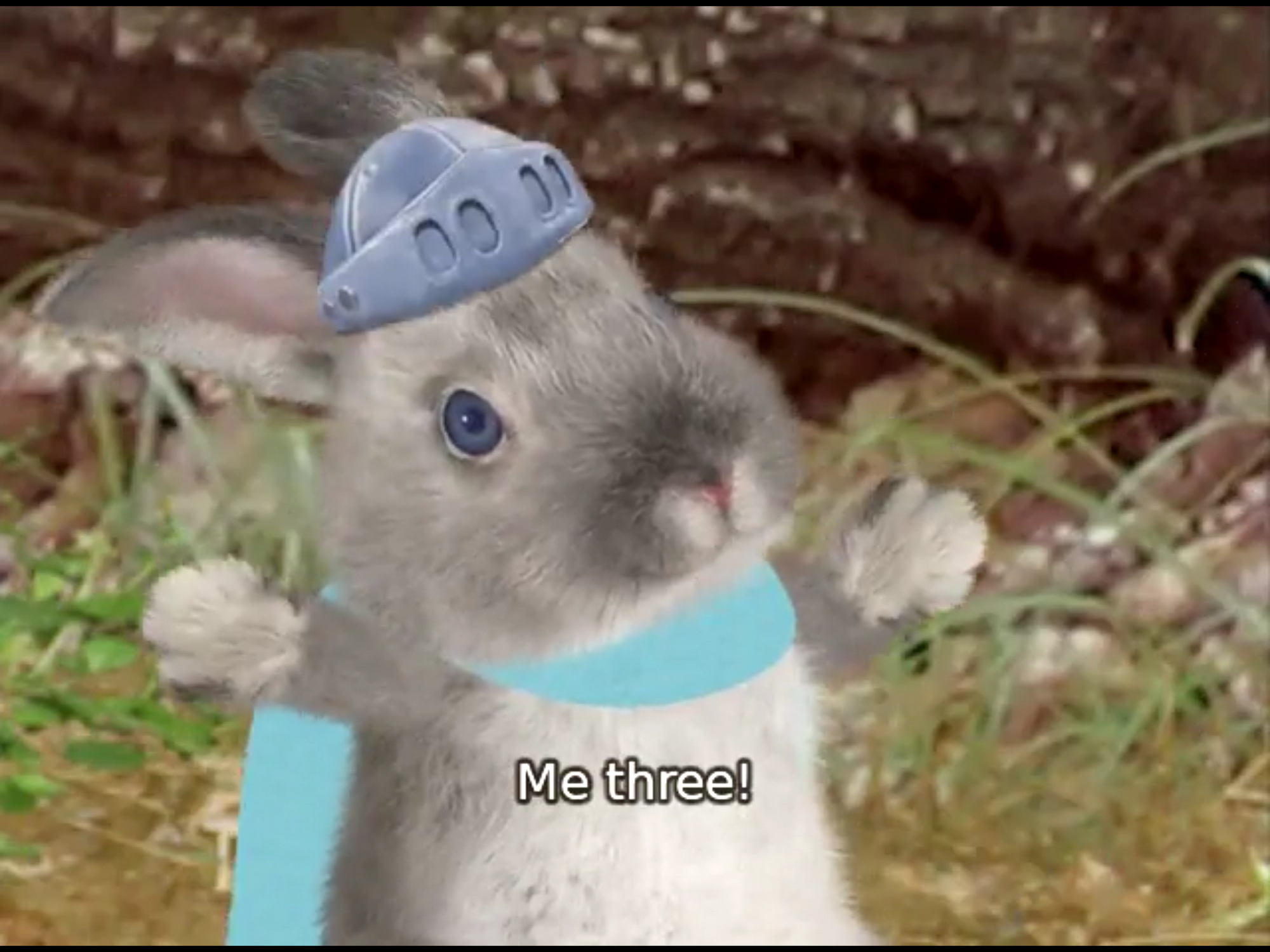 List Of Wonder Pets Episodes - pajbfle