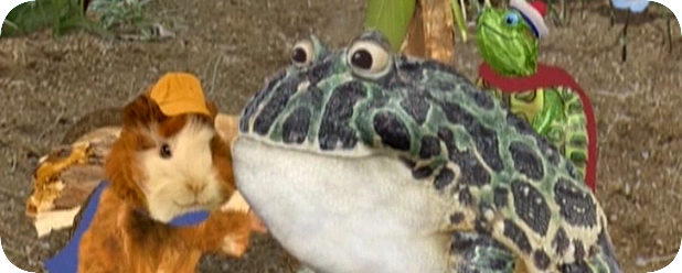 Kipper The Dog Wonder Pets Wiki Fandom Powered By Wikia Induced Info
