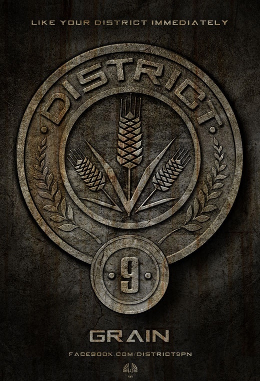 District09