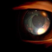 Картинки по запросу "Thief Garrett Eye"