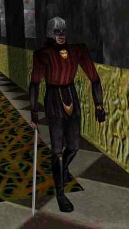thief and sword thief and sword