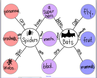 what is a bubble map Double Bubble Map Thinking Maps Wiki Fandom what is a bubble map