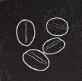 CoffeeIcon