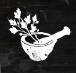 HerbalWorkshopIcon