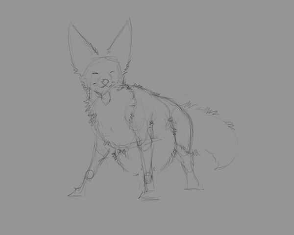 File:Fennec Wolf WIP 1.jpg