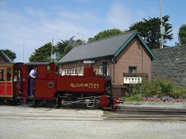 File:Alligator7989.jpg