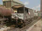 Toad