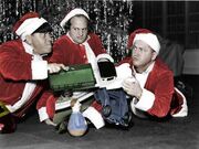 Stooge-curly