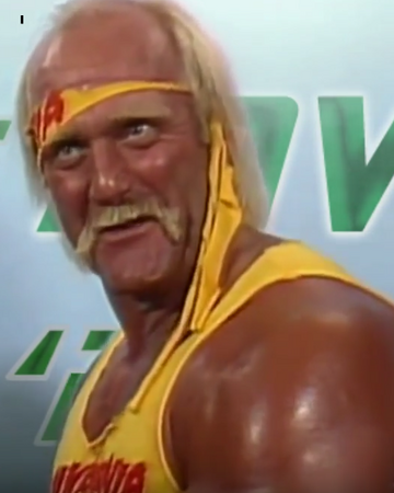 Hulk Hogan | Throw Some Lawl Back At 'Em Wiki | Fandom