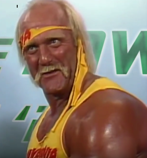 hulk hogan rip em