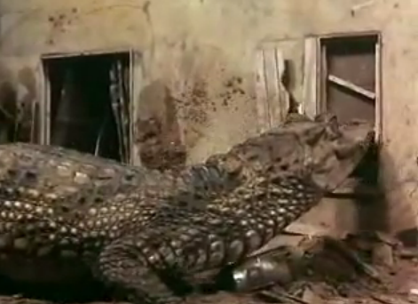 Attack of the Alligators!/Storyline | Thunderbirds Wiki | FANDOM