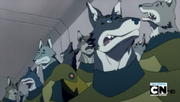 TC2011ep007Dogs02