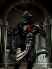 Panthar2