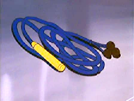 whip bolo