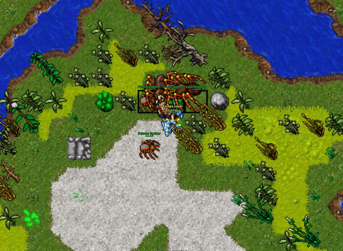 TibiaWikiData/Creature/strategy TibiaWiki FANDOM powered by Wikia